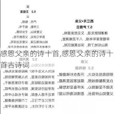 感恩父亲的诗十首,感恩父亲的诗十首古诗词-第3张图片-安安范文网