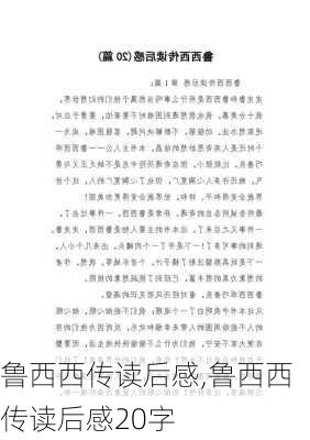 鲁西西传读后感,鲁西西传读后感20字-第1张图片-安安范文网