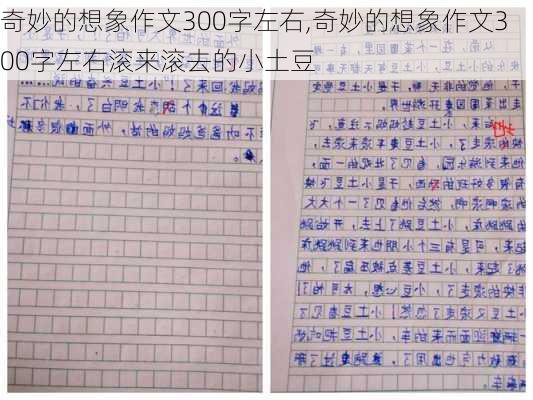 奇妙的想象作文300字左右,奇妙的想象作文300字左右滚来滚去的小土豆-第2张图片-安安范文网