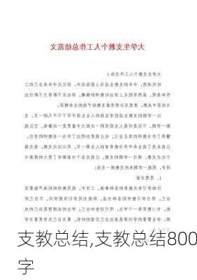 支教总结,支教总结800字-第2张图片-安安范文网