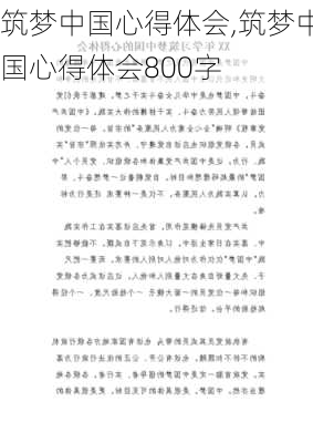 筑梦中国心得体会,筑梦中国心得体会800字