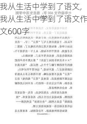 我从生活中学到了语文,我从生活中学到了语文作文600字-第2张图片-安安范文网