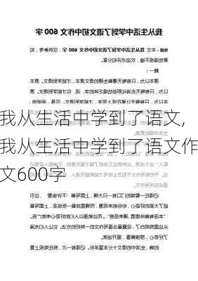 我从生活中学到了语文,我从生活中学到了语文作文600字-第3张图片-安安范文网