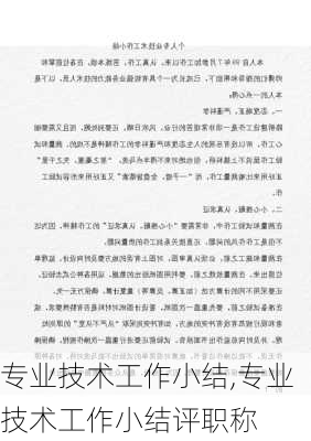 专业技术工作小结,专业技术工作小结评职称-第2张图片-安安范文网