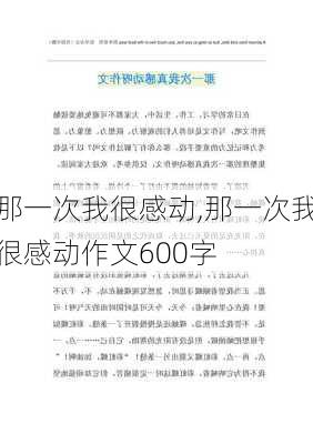 那一次我很感动,那一次我很感动作文600字-第3张图片-安安范文网