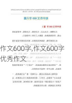 作文600字,作文600字优秀作文-第1张图片-安安范文网