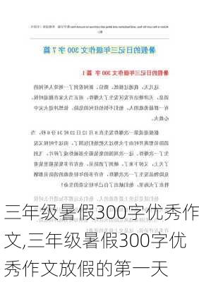 三年级暑假300字优秀作文,三年级暑假300字优秀作文放假的第一天-第3张图片-安安范文网