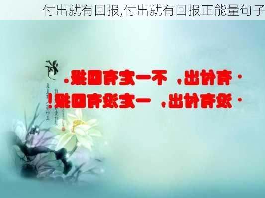 付出就有回报,付出就有回报正能量句子-第3张图片-安安范文网