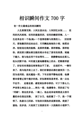 相识的瞬间作文,相识的瞬间作文600字-第3张图片-安安范文网