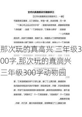 那次玩的真高兴 三年级300字,那次玩的真高兴 三年级300字动物园-第3张图片-安安范文网