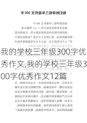 我的学校三年级300字优秀作文,我的学校三年级300字优秀作文12篇-第2张图片-安安范文网