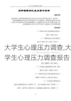 大学生心理压力调查,大学生心理压力调查报告-第3张图片-安安范文网