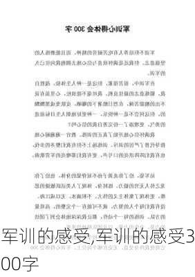 军训的感受,军训的感受300字-第2张图片-安安范文网