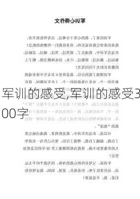 军训的感受,军训的感受300字-第3张图片-安安范文网