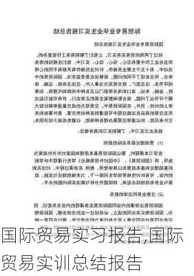 国际贸易实习报告,国际贸易实训总结报告-第3张图片-安安范文网