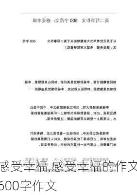 感受幸福,感受幸福的作文600字作文-第2张图片-安安范文网