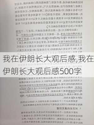 我在伊朗长大观后感,我在伊朗长大观后感500字-第2张图片-安安范文网