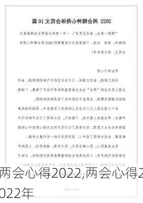 两会心得2022,两会心得2022年-第1张图片-安安范文网