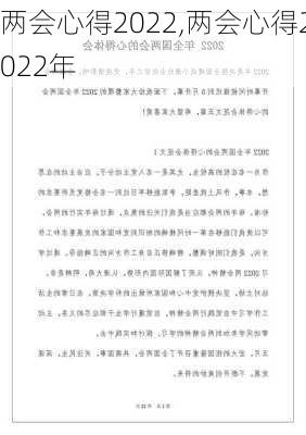 两会心得2022,两会心得2022年-第3张图片-安安范文网