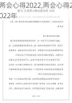 两会心得2022,两会心得2022年-第2张图片-安安范文网