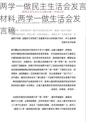 两学一做民主生活会发言材料,两学一做生活会发言稿-第2张图片-安安范文网