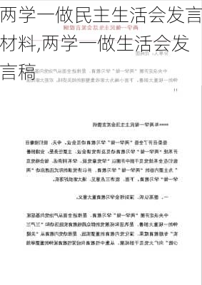 两学一做民主生活会发言材料,两学一做生活会发言稿