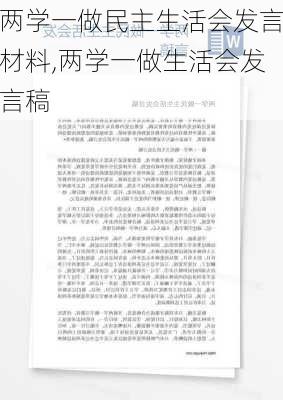 两学一做民主生活会发言材料,两学一做生活会发言稿-第3张图片-安安范文网