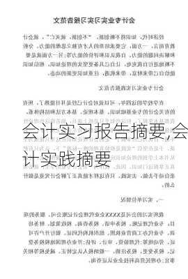 会计实习报告摘要,会计实践摘要