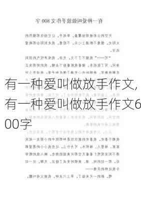 有一种爱叫做放手作文,有一种爱叫做放手作文600字-第3张图片-安安范文网