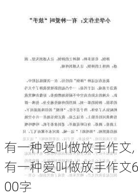 有一种爱叫做放手作文,有一种爱叫做放手作文600字-第2张图片-安安范文网