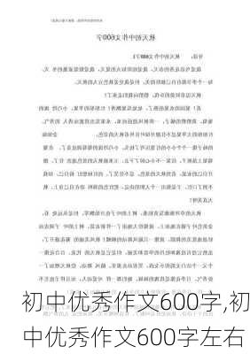 初中优秀作文600字,初中优秀作文600字左右