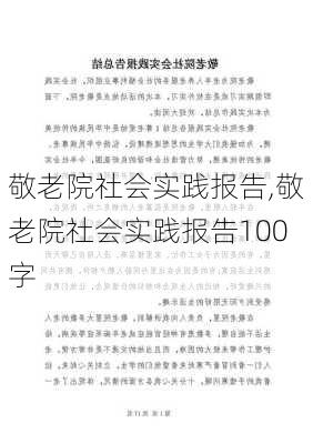 敬老院社会实践报告,敬老院社会实践报告100字-第2张图片-安安范文网