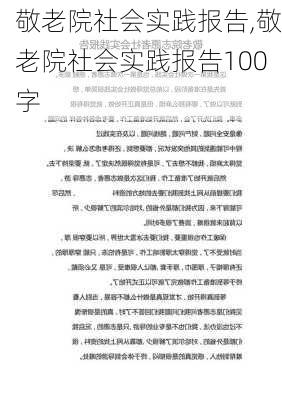 敬老院社会实践报告,敬老院社会实践报告100字-第3张图片-安安范文网