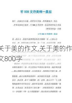 关于美的作文,关于美的作文800字