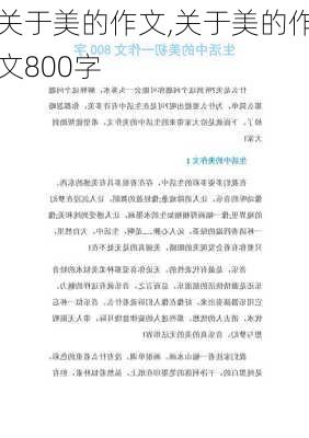 关于美的作文,关于美的作文800字-第3张图片-安安范文网