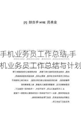 手机业务员工作总结,手机业务员工作总结与计划-第2张图片-安安范文网