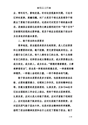 担当作为方面存在的问题,担当作为方面存在的问题及整改措施