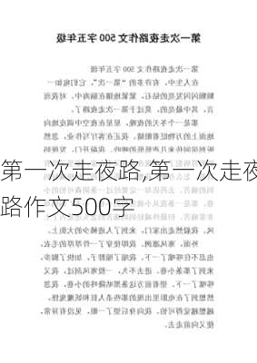 第一次走夜路,第一次走夜路作文500字