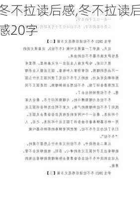 冬不拉读后感,冬不拉读后感20字-第3张图片-安安范文网