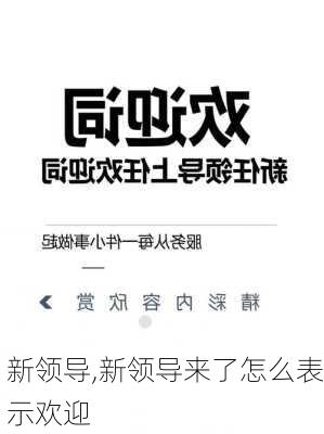 新领导,新领导来了怎么表示欢迎-第2张图片-安安范文网