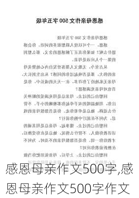 感恩母亲作文500字,感恩母亲作文500字作文