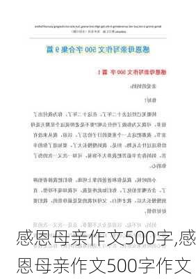 感恩母亲作文500字,感恩母亲作文500字作文-第3张图片-安安范文网