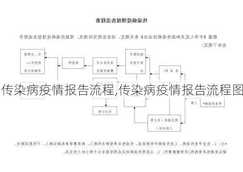 传染病疫情报告流程,传染病疫情报告流程图-第2张图片-安安范文网