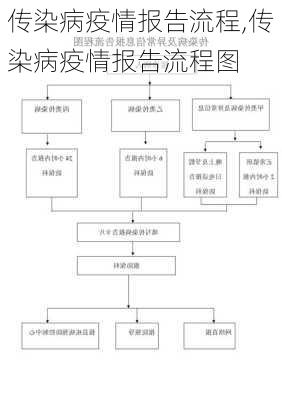 传染病疫情报告流程,传染病疫情报告流程图-第3张图片-安安范文网