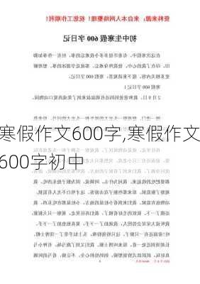 寒假作文600字,寒假作文600字初中