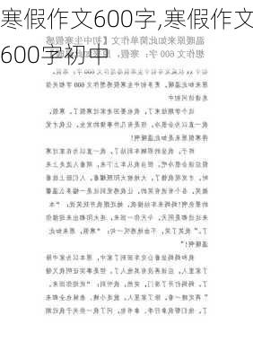 寒假作文600字,寒假作文600字初中-第3张图片-安安范文网