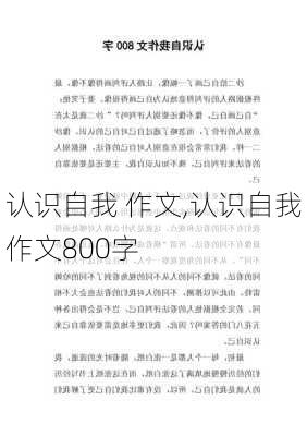 认识自我 作文,认识自我作文800字