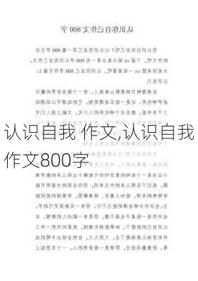 认识自我 作文,认识自我作文800字-第2张图片-安安范文网