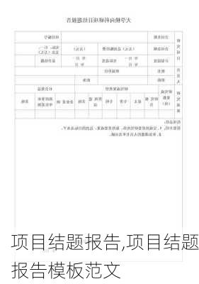 项目结题报告,项目结题报告模板范文-第2张图片-安安范文网