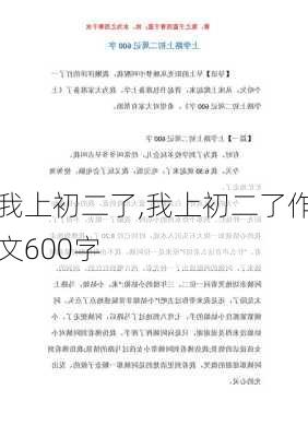 我上初二了,我上初二了作文600字-第2张图片-安安范文网